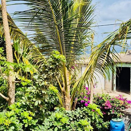 Casa Chiquinha Appartement Ribeira da Prata Buitenkant foto
