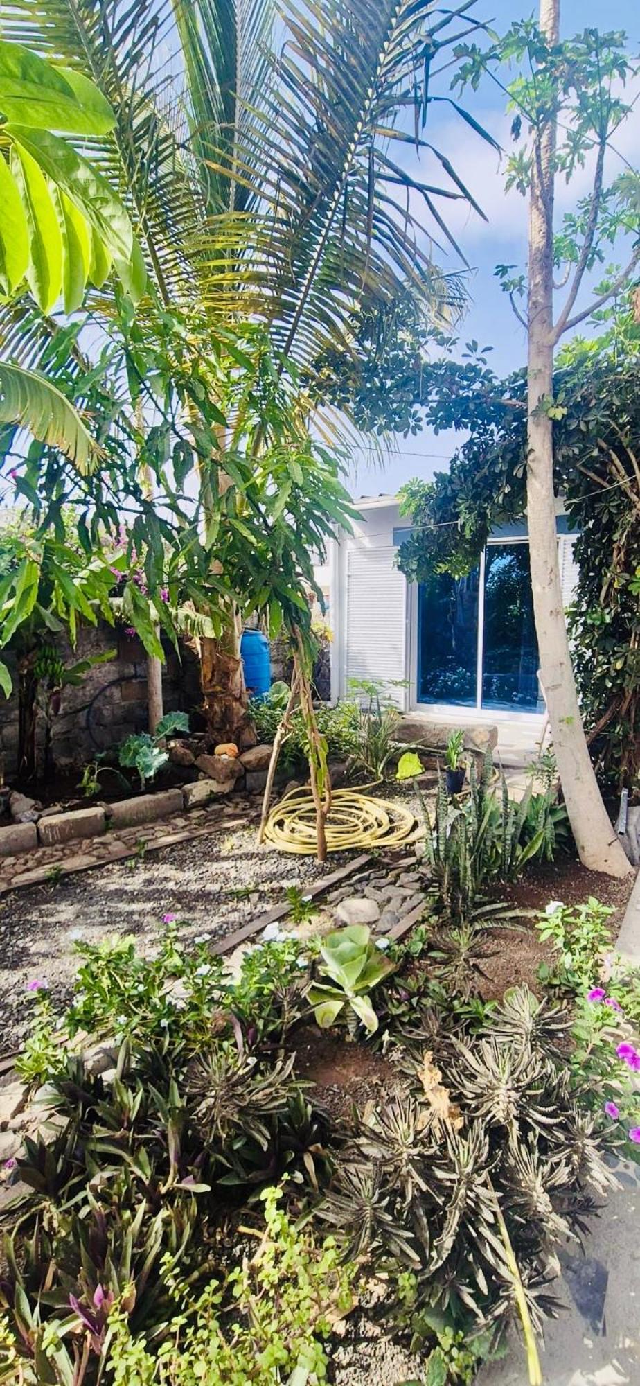 Casa Chiquinha Appartement Ribeira da Prata Buitenkant foto