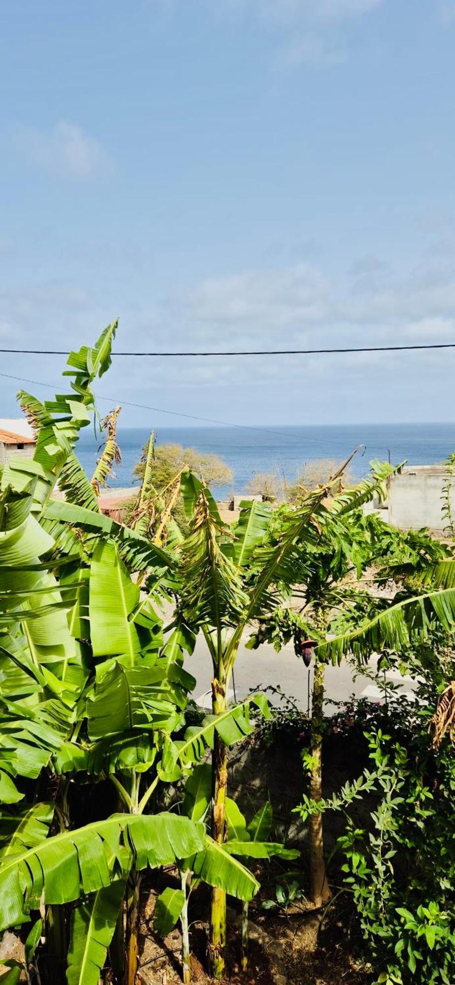 Casa Chiquinha Appartement Ribeira da Prata Buitenkant foto